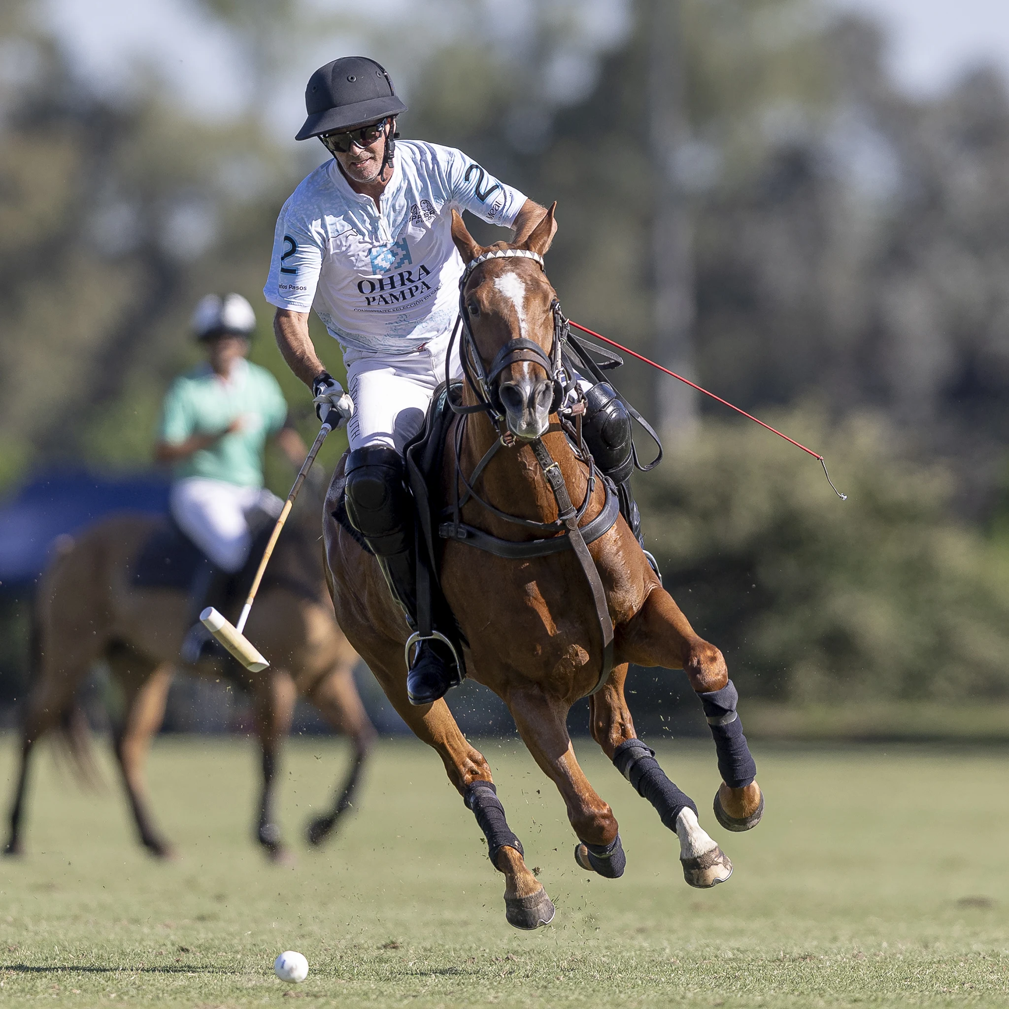 Nick Manifold - Plyrs Polo Club