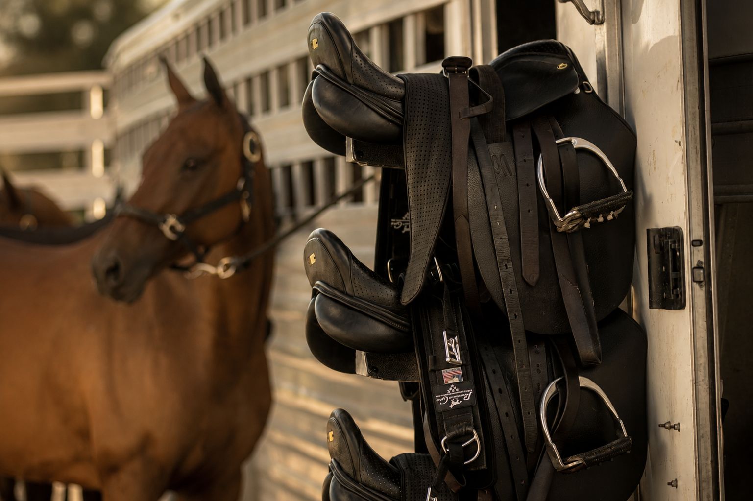 Tack in the stables