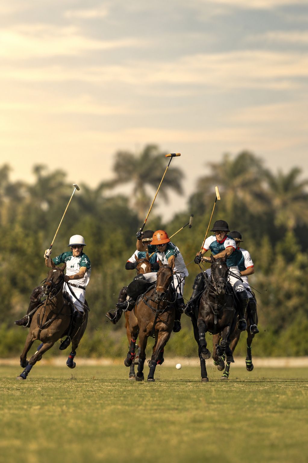 Polo at PLYRS